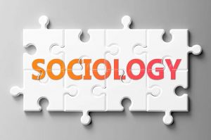 نقش بینش جامعه‌شناختی در تولید ادبیات توسعه‌محور