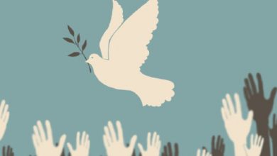 راه‌اندازی دادگاه صلح در کرمان