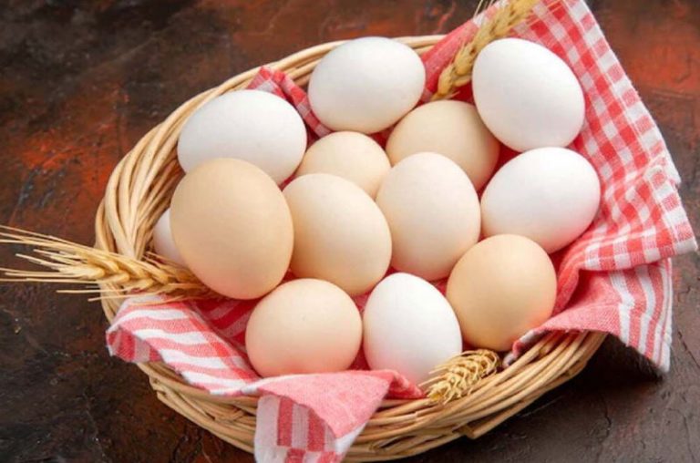 تخم مرغ خراب را با این روشها بشناسید