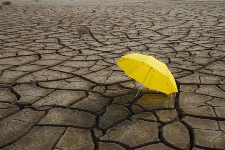 «خشکسالی ۵۵ هزار میلیارد ریال به کشاورزی خراسان‌شمالی خسارت زد»