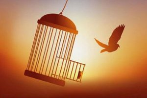 هدیه متفاوت یک مادر کاشانی برای فرزندش