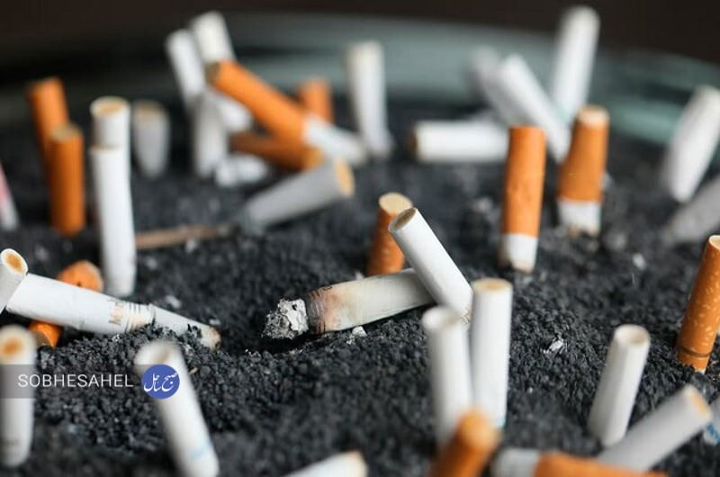 «سیگاری‌ها روزی ۲۰میلیارد تومان را دود می‌کنند» | انتقاد از فیلیمو برای نمایش دخانیات