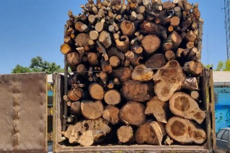 حدود چهار تن چوب غیرمجاز در خراسان‌ شمالی کشف شد