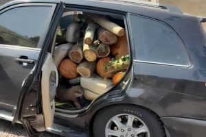 قاچاق چوب این‌بار در یک خودوری شاسی بلند!