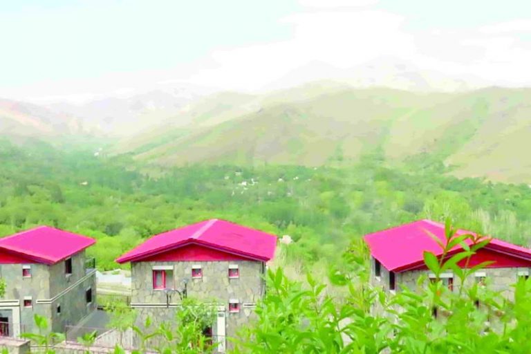 «یک باغ سالم در دره مرادبیگ همدان نداریم»