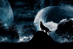 آیا انسان بدذات است؟