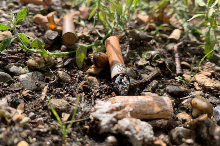 مرتع‌سوزی در اصفهان با ته‌سیگار