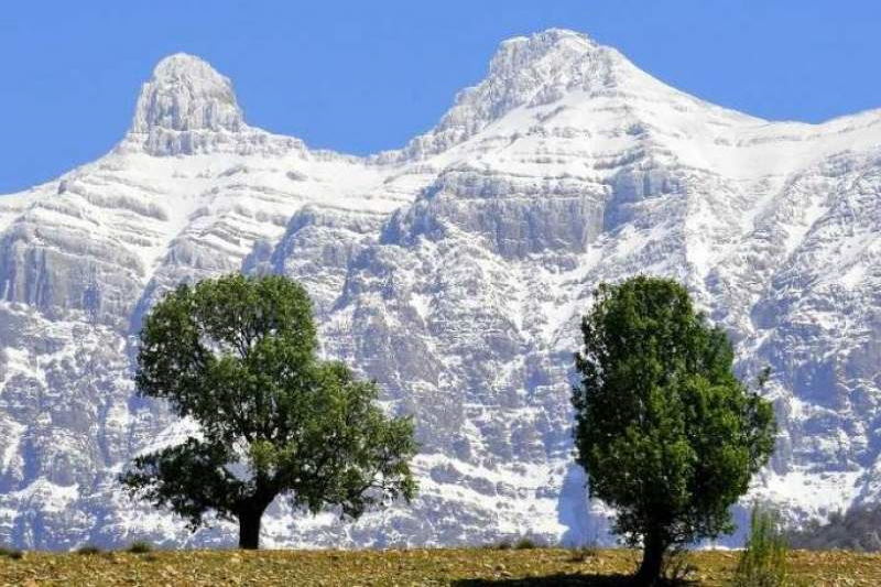 «مصوبه جنجالی جدایی دنای شمالی»