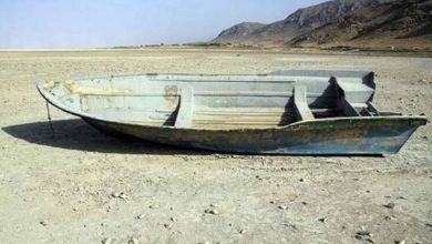 مهم‌ترین راهکار مهار ریزگردها در سیستان و بلوچستان