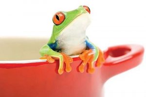 برای قورباغه‌های پخته‌ی ایران‌