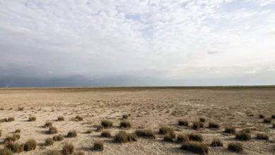 زمستانی خشک‌تر با خشکسالی ۲۰ساله در کرمان