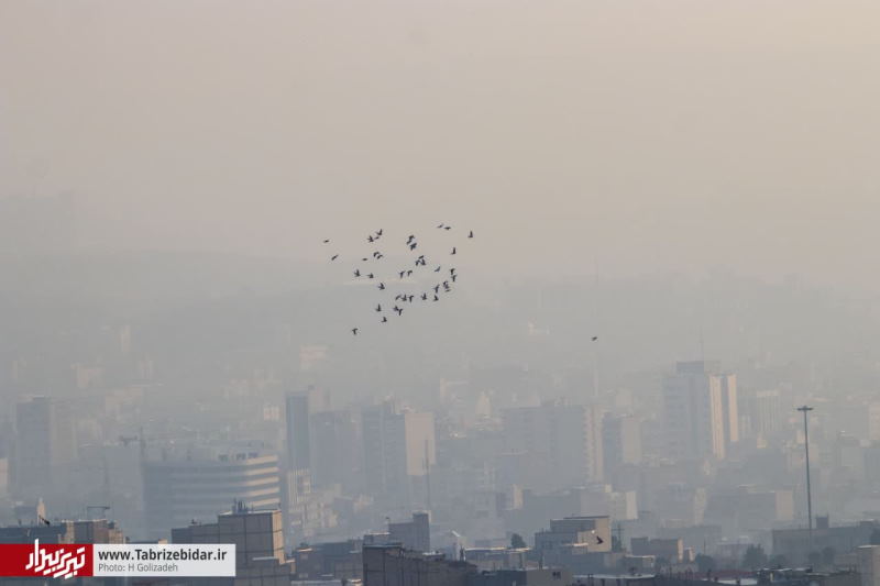 آلودگی هوا در تبریز [+ تصاویر]