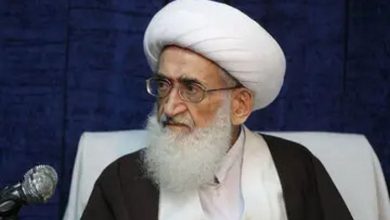 آیت‌الله نوری همدانی: روحانیت بايد صدای مردم باشد