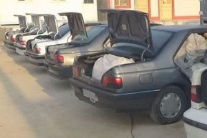 شوتی‌ها جمع می‌شوند؟
