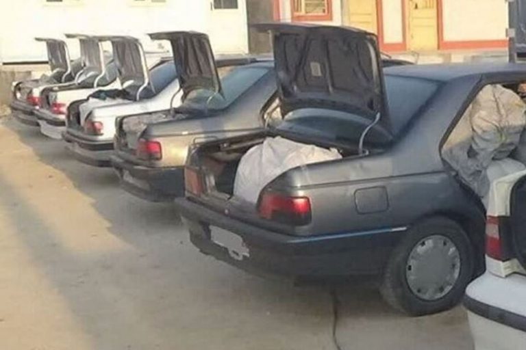 شوتی‌ها جمع می‌شوند؟