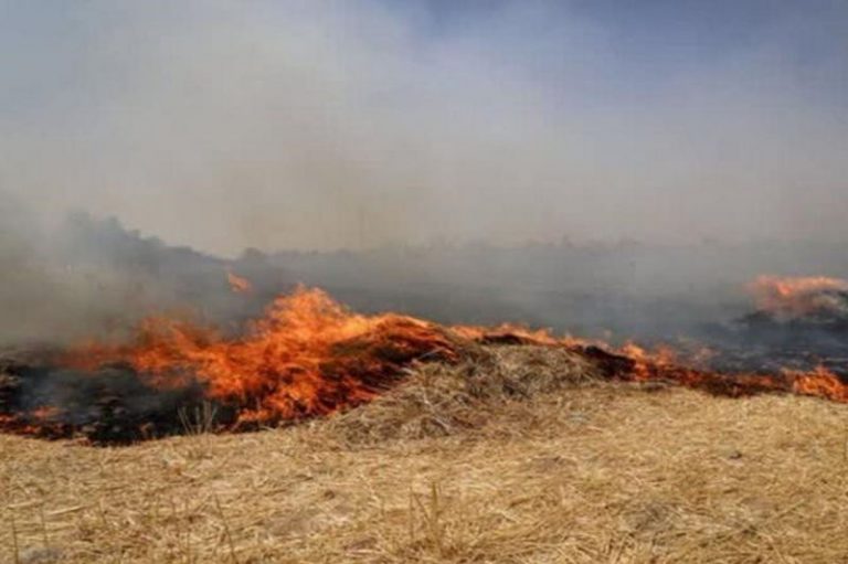 «سوزاندن کاه و بقایای گیاهی ممنوع است»