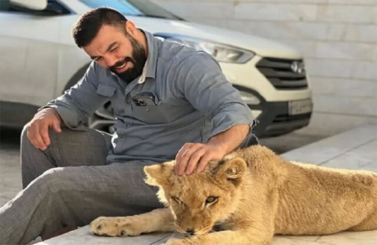 ماجرای نگهداری توله شیر | علی‌اکبری: دزدگیر خانه مادرم بود!