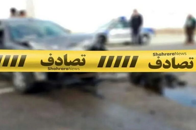 درباره‌ی کمپین نه به تصادف | احمد زیدآبادی