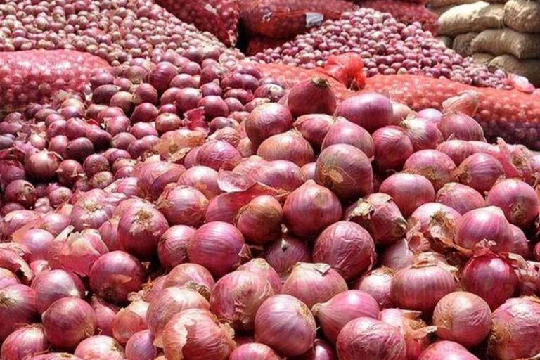 زیان کمرشکن پیازکاران جنوب کرمان با وجود خرید تضمینی