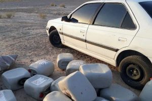 توقیف ۱۶ شوتی در خراسان جنوبی