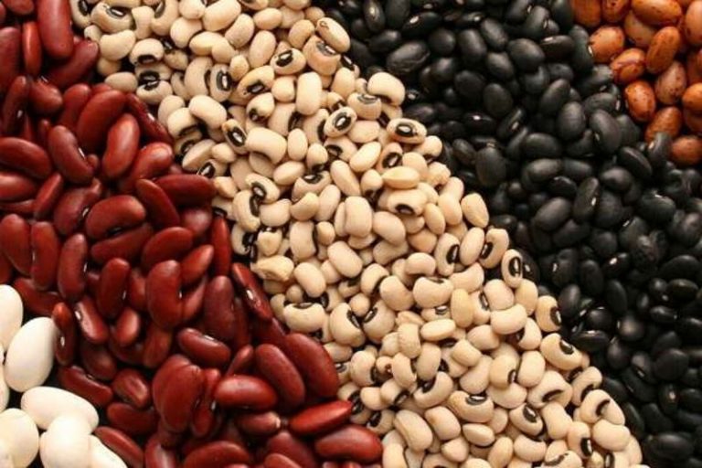«حبوبات قیمت ثابت و رسمی ندارند»