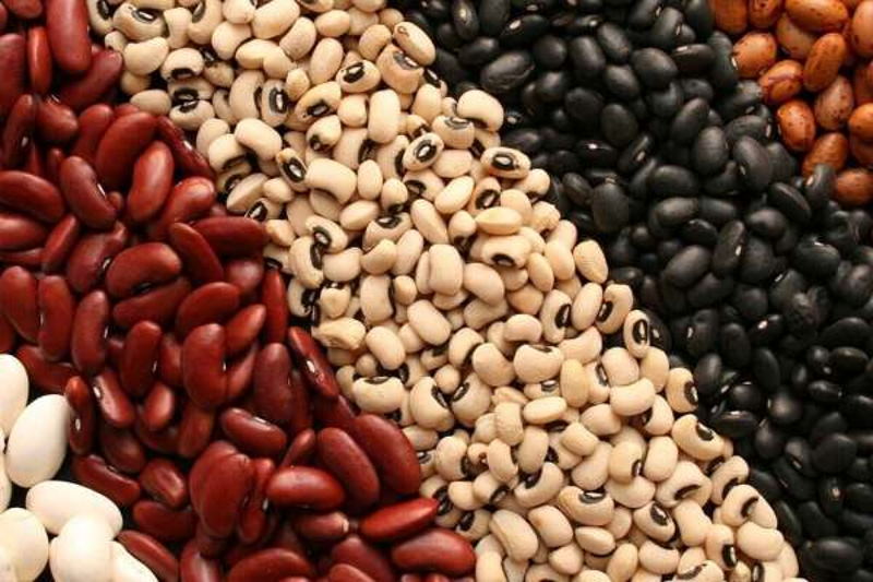 «حبوبات قیمت ثابت و رسمی ندارند»