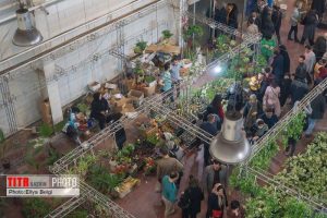 برپایی نمایشگاه گل و گیاه قزوین از فردا