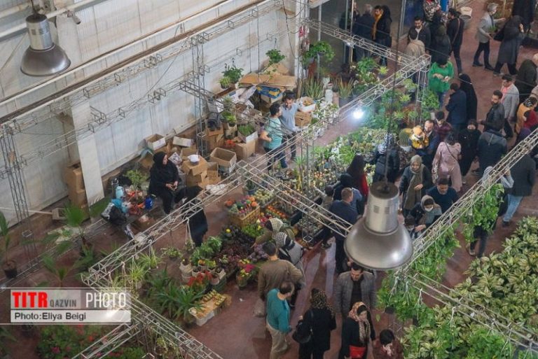 برپایی نمایشگاه گل و گیاه قزوین از فردا
