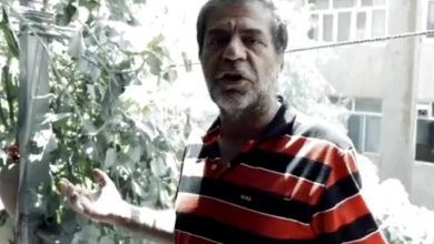 مهرداد احمدی شیخانی