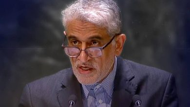 سعید ایروانی