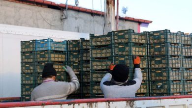 کشف ۴۰۰ تُن میوه خارجی احتکارشده در اصفهان