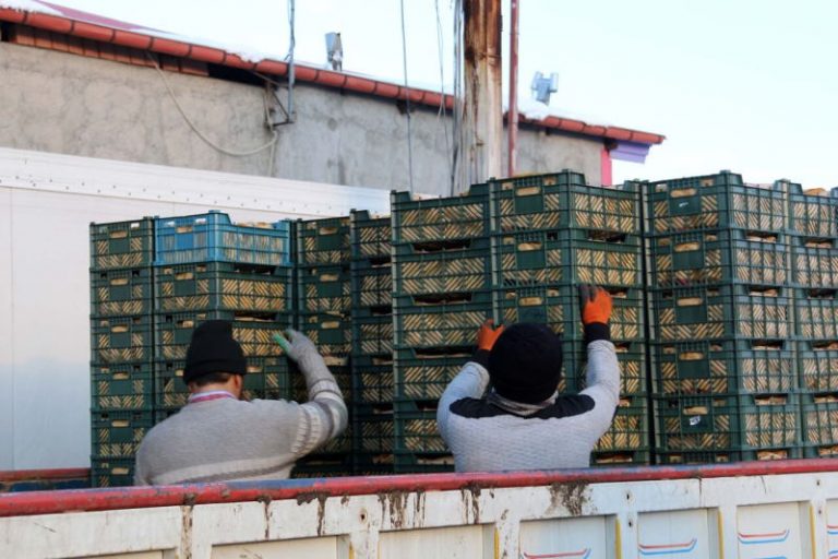 کشف ۴۰۰ تُن میوه خارجی احتکارشده در اصفهان