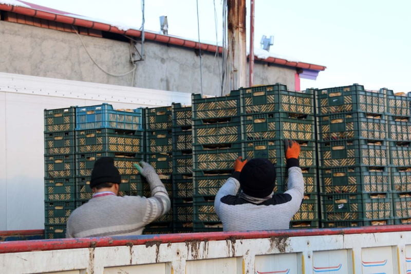 کشف ۴۰۰ تُن میوه خارجی احتکارشده در اصفهان