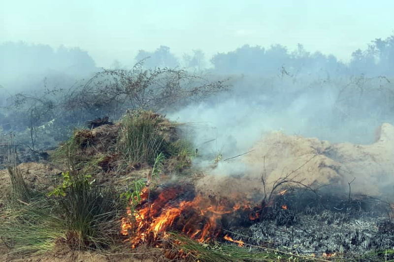 آتش‌ سوزی بوجاق کیاشهر پس از ۳ ساعت مهار شد
