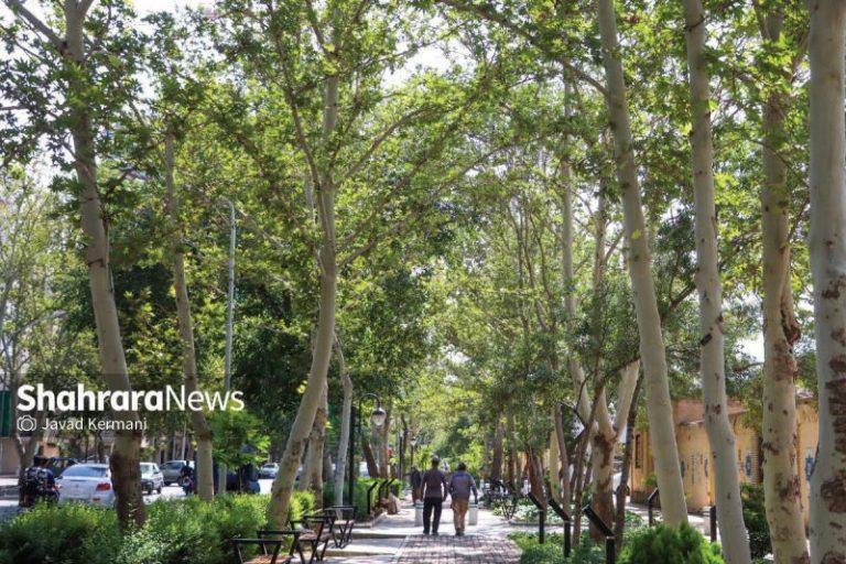مشهد یکی از سبزترین شهر‌های کشور از نگاه مردم