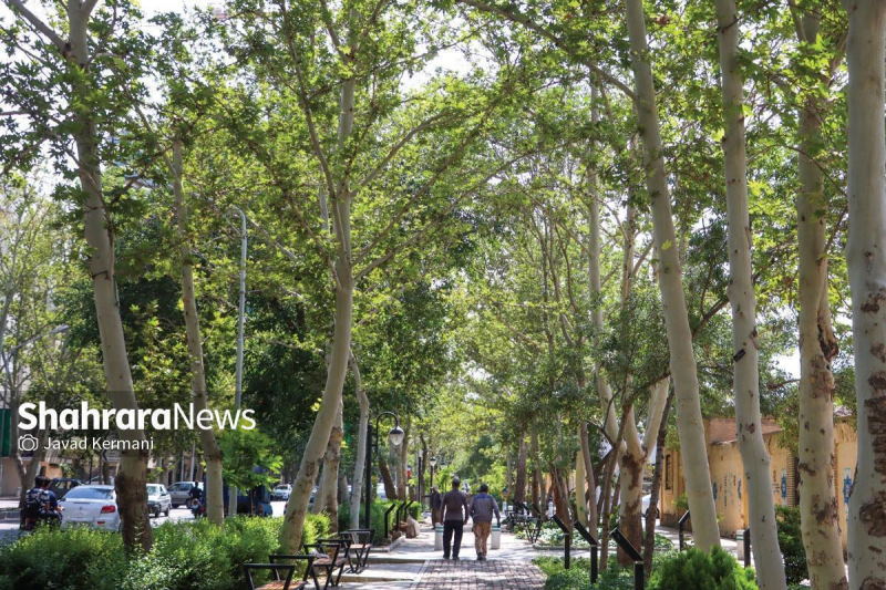 مشهد یکی از سبزترین شهر‌های کشور از نگاه مردم