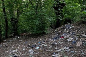 پارک جنگلی امام رضا شهرستان کردکوی در سراشیبی فرسایش
