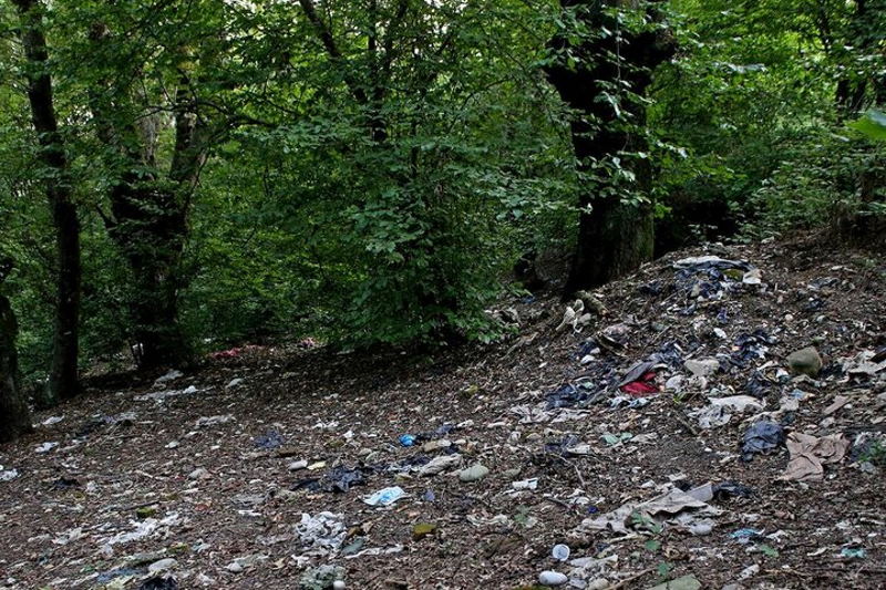 پارک جنگلی امام رضا شهرستان کردکوی در سراشیبی فرسایش