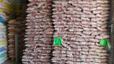 احتکار ۲۵۰ میلیاردی برنج و حبوبات در زنجان