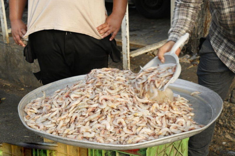 میگو؛ غذای سنتی بوشهر که کالای لوکس شد