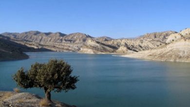 «سدهای ایلام به ۶۰ درصد ظرفیت خود رسیده‌اند»