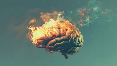 مغز نمی‌تواند چند کار را با هم انجام دهد