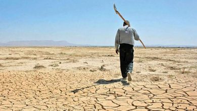 خسارت خشکسالی به ۹۰ درصد از اراضی گلستان