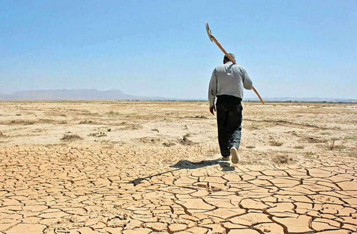 خسارت خشکسالی به ۹۰ درصد از اراضی گلستان