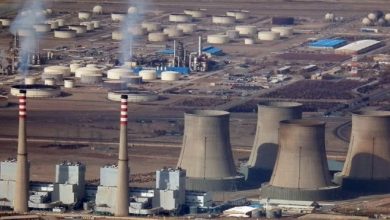 آغاز فصل مازوتسوزی اصفهان؟