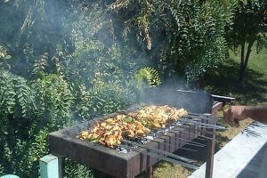 بساط کباب‌فروشی در پارک‌های زنجان غیرقانونی است