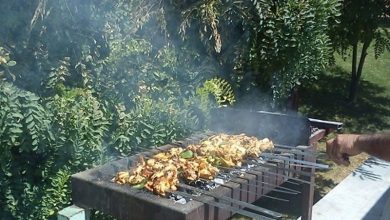 بساط کباب‌فروشی در پارک‌های زنجان غیرقانونی است