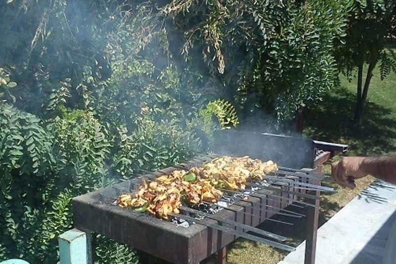 بساط کباب‌فروشی در پارک‌های زنجان غیرقانونی است