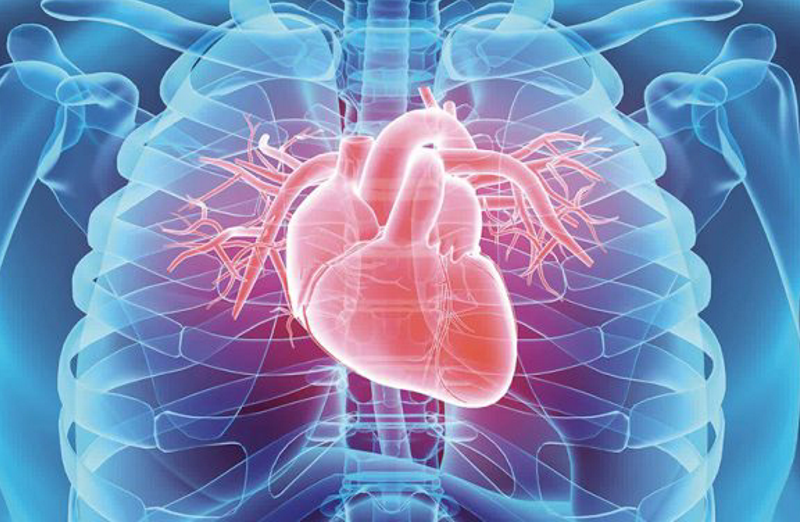 بیماریهای قلبی و عروقی، نخستین عامل مرگ و میر در اردبیل