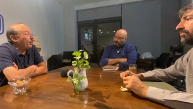 نیروی اصیل اجتماعی